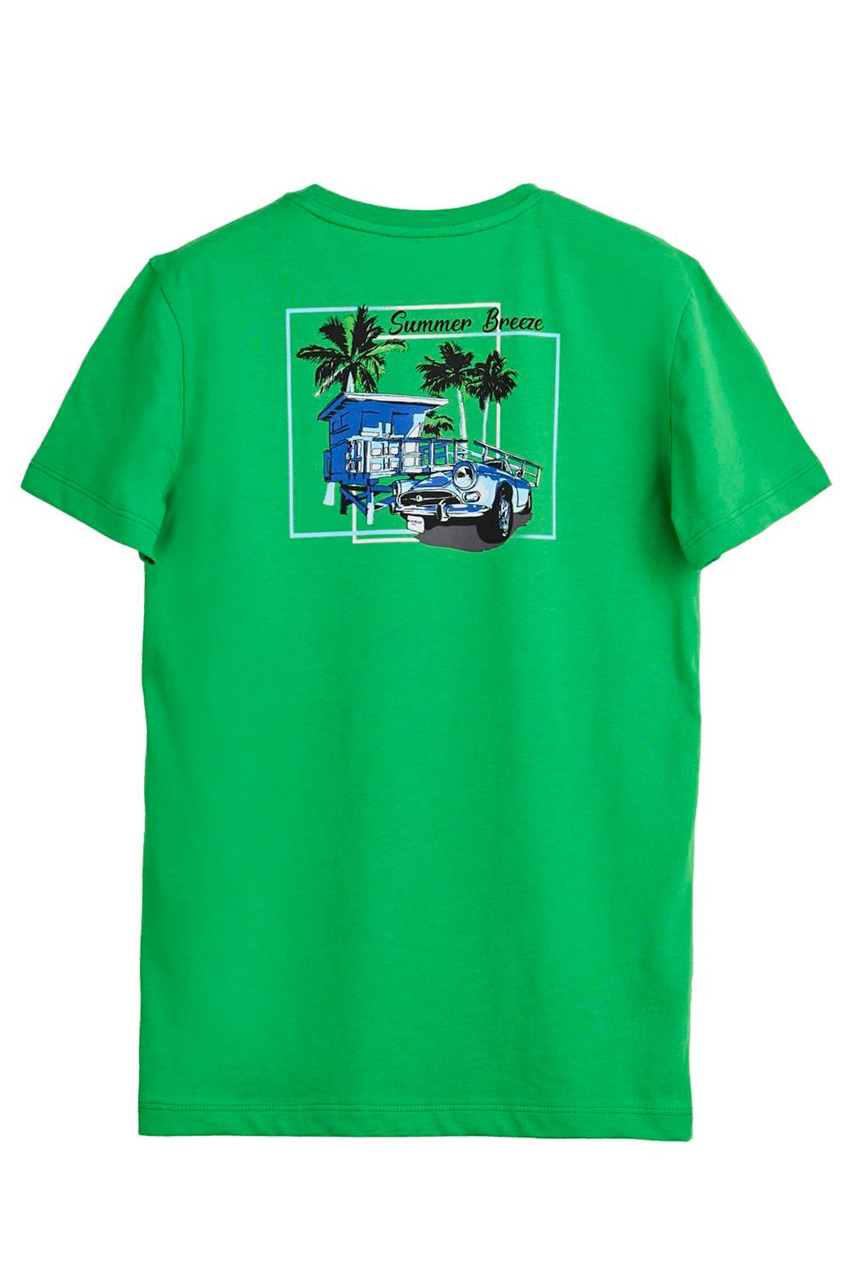 IMG-PRODUCT