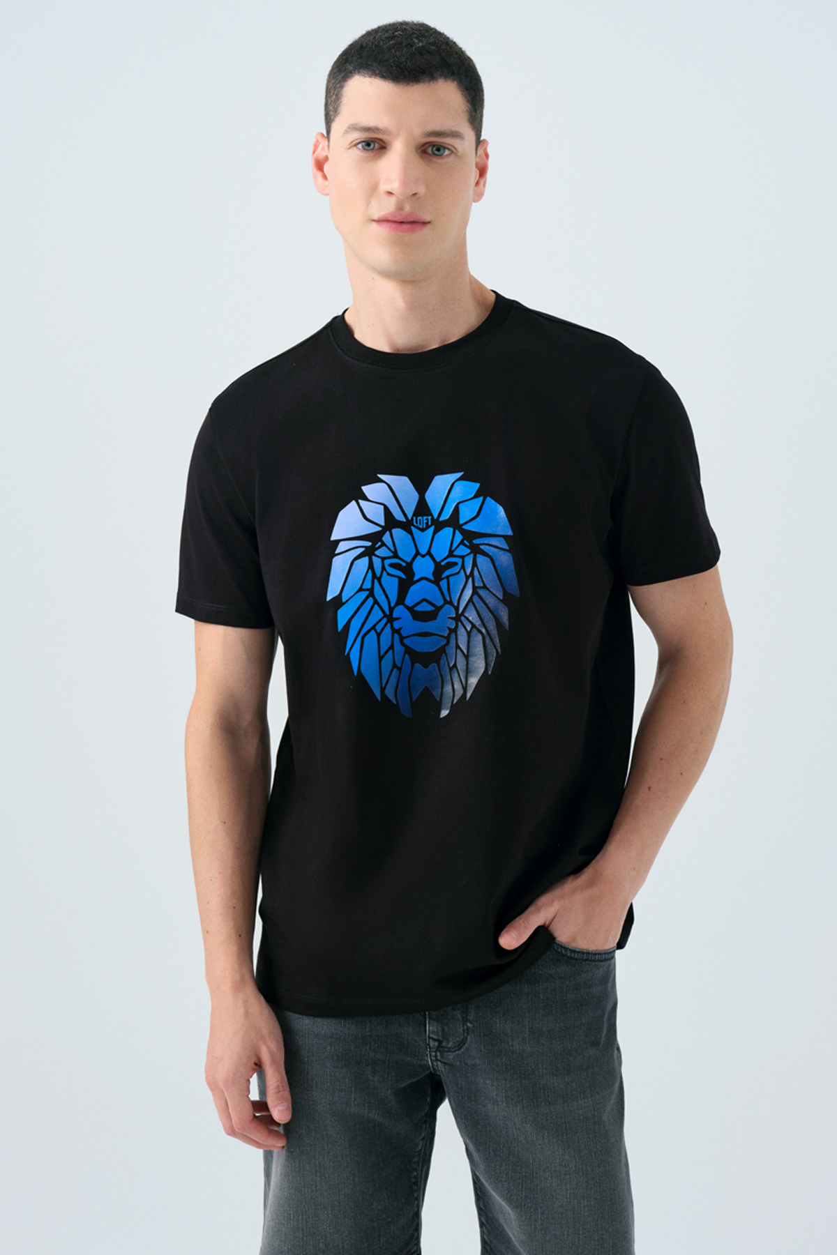 LF2039546